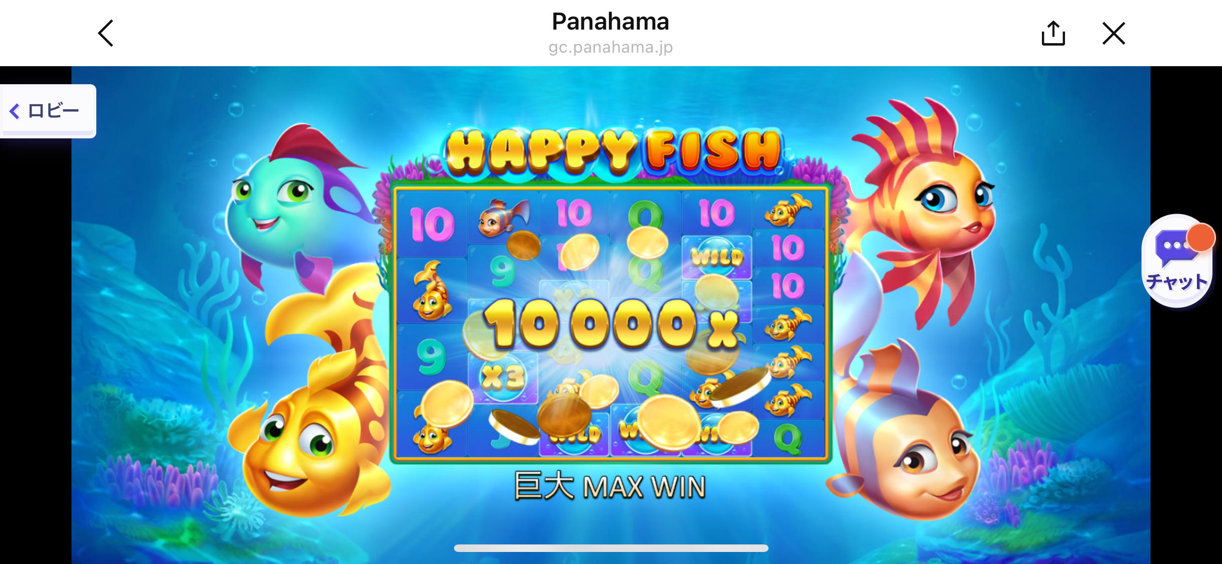 Panahama ハッピーフィッシュ