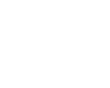 パートナー applepay